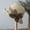 I5-Beige, variant on Womens Straw Hat Adjustable Wide Brim Floppy Beach Hats with Bowknot Upf50+ Foldable Travel Uv Sun Protection Cap,Coffee