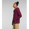 thumbnail image 3 of THE NORTH FACE Men's TNF Terry Hoodie, Boysenberry, Medium, 3 of 5
