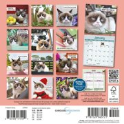 Grumpy Cat 2027 Mini Wall Calendar, (Paperback)