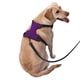 thumbnail image 2 of Fotbe Purple Arnés para Perro con Estampado –Chaleco Ajustable Acolchado con Asa de Control para Perros Grandes-Large, 2 of 6