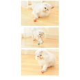 thumbnail image 3 of Juguetes para gatos: bola activadora/bola que mueve juguetes para gatos azul y rosa, 3 of 5