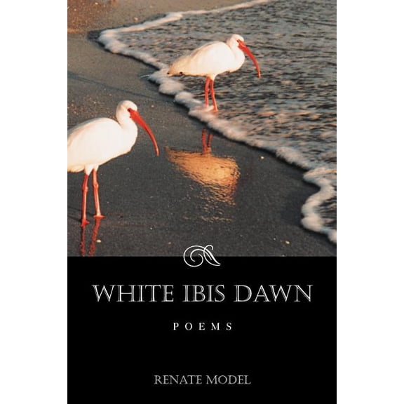 White Ibis Dawn (Paperback)