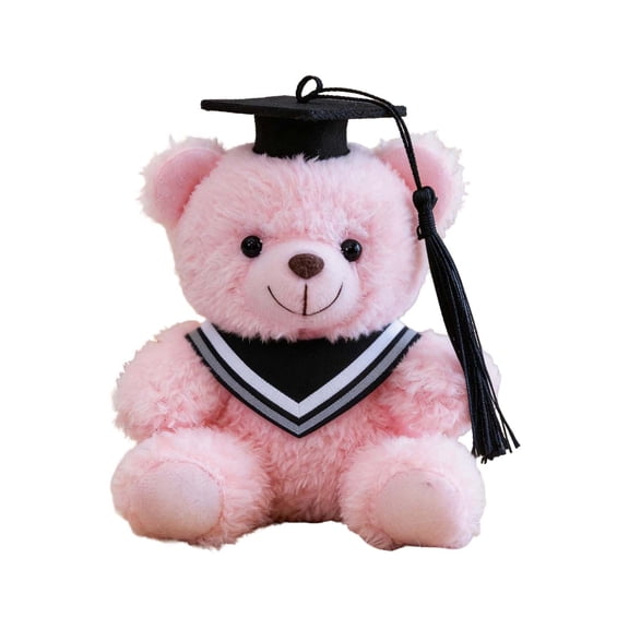 4" Graduation Bear Class of 2026 Teddy Bear Stuffed Animal with Black Grad Cap and Gown Graduation Gift for Boys and Girls, Pink
