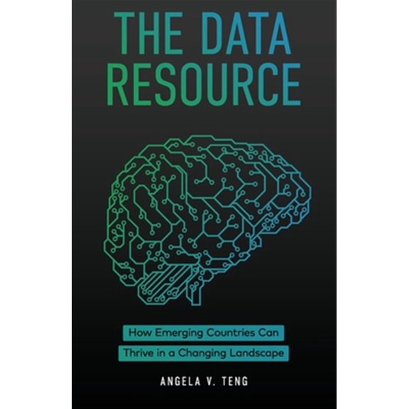 Pre-Owned The Data Resource : How Emerging Countries Can Thrive in a Changing Landscape (Paperback)