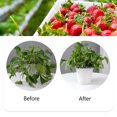 thumbnail image 2 of Paquete de 5 Soportes para Fresas Con Lazo Giratorio (20 M), Soportes para Plantas de Fresa Irfora 5 uds y lazo giratorio, 2 of 7