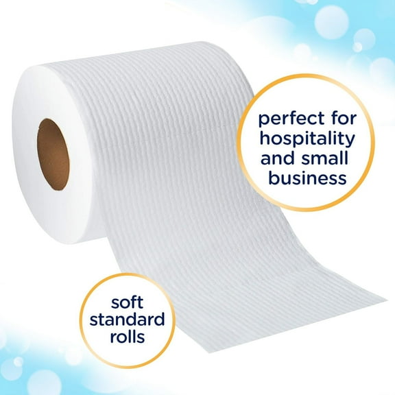 Professional Standard Roll Bulk Toilet Paper (12456), White (48 Rolls of 170 Sheets, 8,160 Sheet Total)