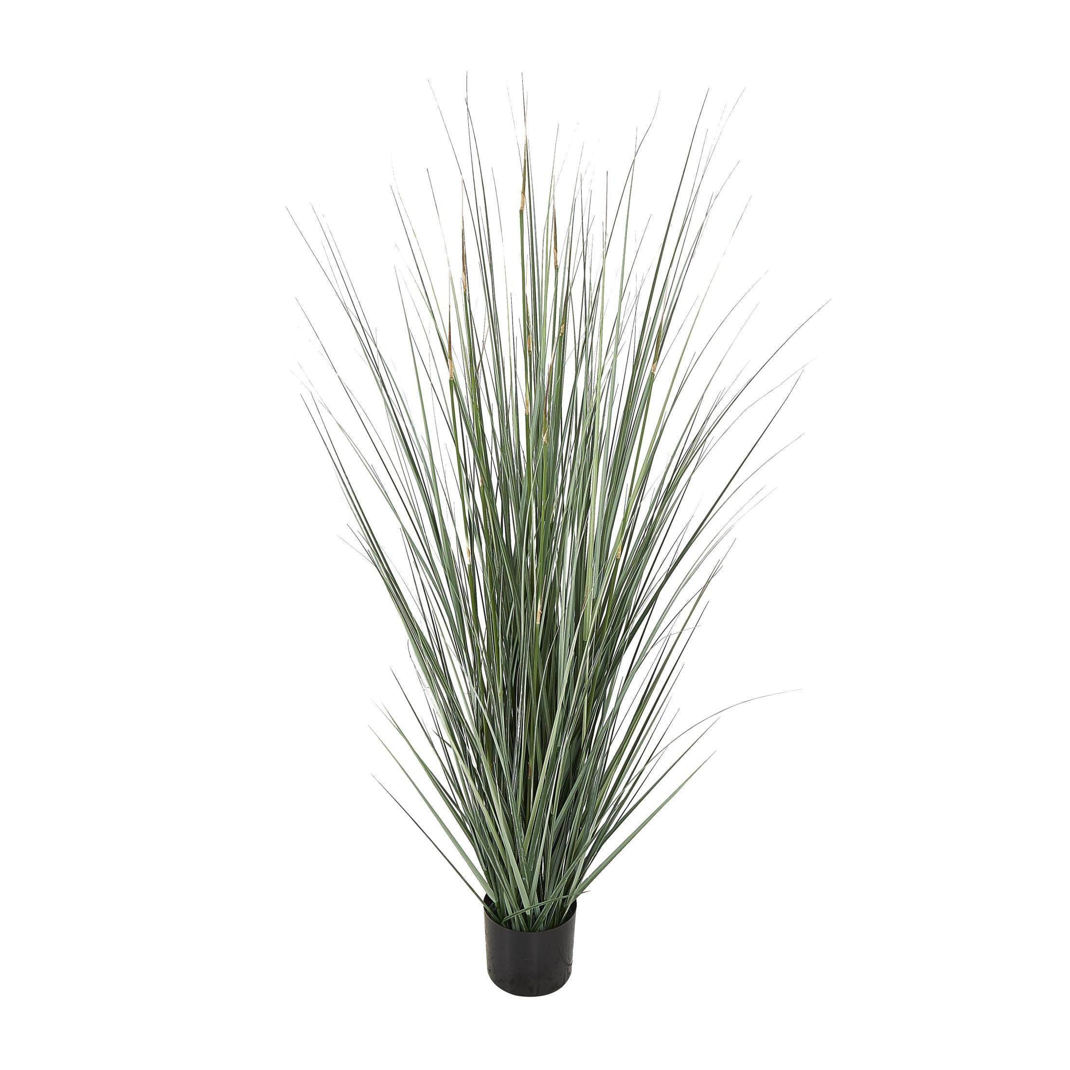 DecMode 61" Tall Artificial Onion Grass Plant in Black Plastic Pot