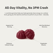 Snap Supplements L-Carnitine Amino Acid Preworkout - Energy, Recovery, 500mg (60 Gummies)