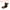 Copper Tone, variant on Shelf Support Pegs, 25 Pack 5mm(1/5") L-Shaped Bracket Pegs Shelf Pin, Black