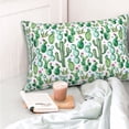 thumbnail image 4 of Rateoe Cactus Plants1 Pattern Decorative Pillow Case,Throw Pillow Covers,Plush Pillow Cover,Soft Pillow Case,Velvet Pillow Case-16"x24", 4 of 5