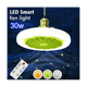 thumbnail image 2 of Ventilador de techo inteligente con luz LED, 30 W, control remoto, luz LED para interiores, silencioso, para dormitorio, cocina, decoración, color blanco, 2 of 8