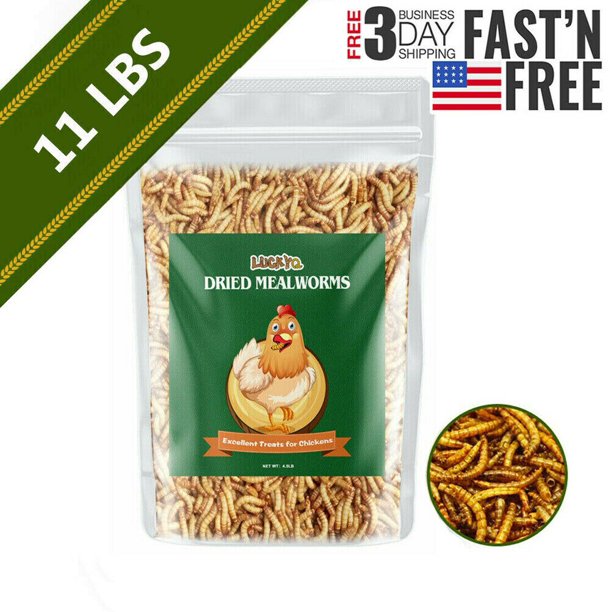 11 LB Dried Mealworms Premium Organic Meal Worms for Wild Birds Chicken