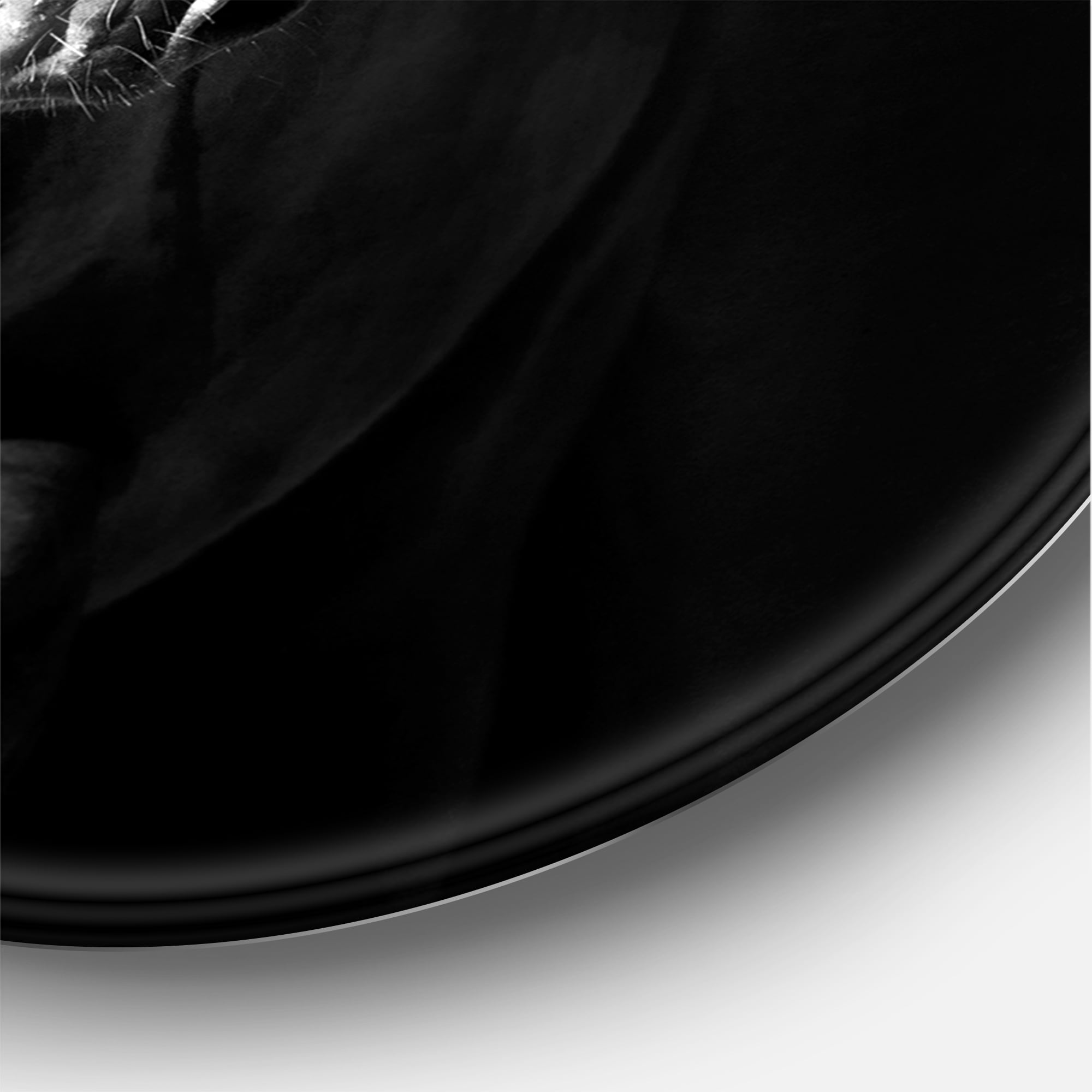 Designart 'Close Up Portrait Of Black Kladruby Horse' Farmhouse Circle Metal Wall Art 23x23 - Disc of 23