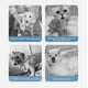 thumbnail image 2 of Dog Soap Foamer Waterless Shampoo Sprayer For Dogs And Cats Rechargeable Waterproof Pet Bathing Facial Cleanser, 2 of 5