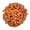 Orange, variant on Expert Gardener 18" Bronze Chrysanthemums Live Plant Mums Flowers in 1 Gallon Grower Pot