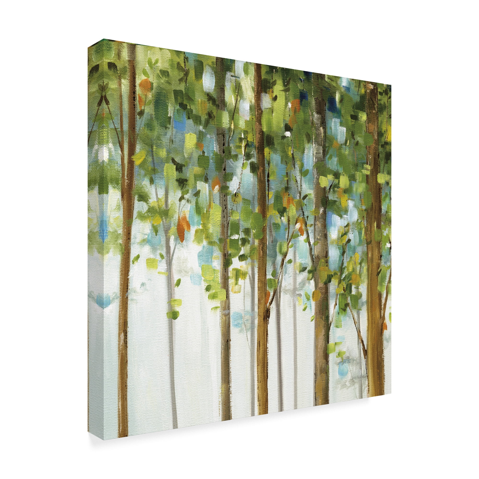 Trademark Fine Art 'Forest Study III' Canvas Art by Lisa Audit