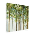 thumbnail image 2 of Trademark Fine Art 'Forest Study III' Canvas Art by Lisa Audit, 2 of 3