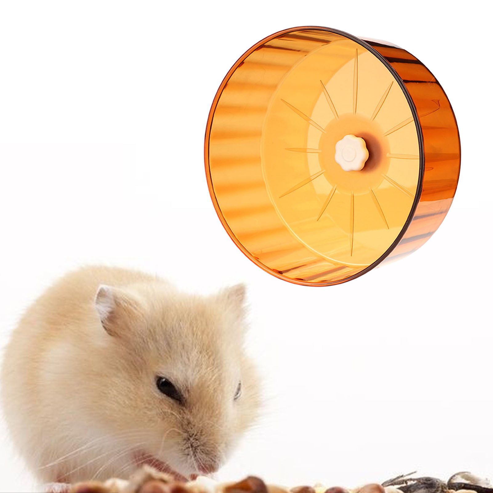 Roue D'exercice Silencieuse Pour Hamster Et Petits Rongeurs - Double Roulement, 14 Cm, Polypropylène