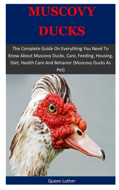 Muscovy Ducks The Complete Guide On Everything You Need To Know About Muscovy Ducks Care Feeding Housing Diet Health Care And Behavior Muscovy Ducks As Pet Paperback Walmart Com