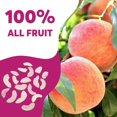 thumbnail image 3 of Freeze-Dried Fruit Peach Chips, 9 Pack Single-Serve Pack, Non GMO, Kosher, No Add Sugar, Gluten free, Vegan, Holiday Gifts, Healthy Snack 0.35 Ounce, 3 of 5