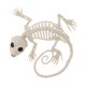 thumbnail image 4 of Esqueleto de huesos Gloria Esqueleto de animal de Halloween, 4 of 9