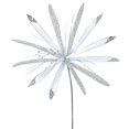 thumbnail image 1 of Silver Papyrus Flower Stem, 24 & 20 in., 1 of 1