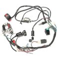 thumbnail image 1 of Ensemble de Faisceau de Fil Cdi pour Quad Électrique Chinois 50cc-125cc, 1 of 1