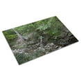 thumbnail image 3 of Print: Rock Creek Park, NW, Washington, D.C., 2010, 3 of 4