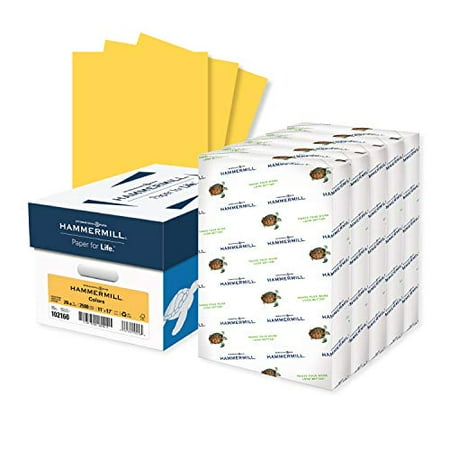 UPC 010199102164