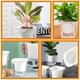 thumbnail image 5 of Maceta drenable para orquídeas, maceta para orquídeas de interior, maceta de resina para flores, maceta combinada, 5 of 5