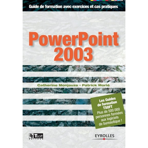 PowerPoint 2003 (Paperback)