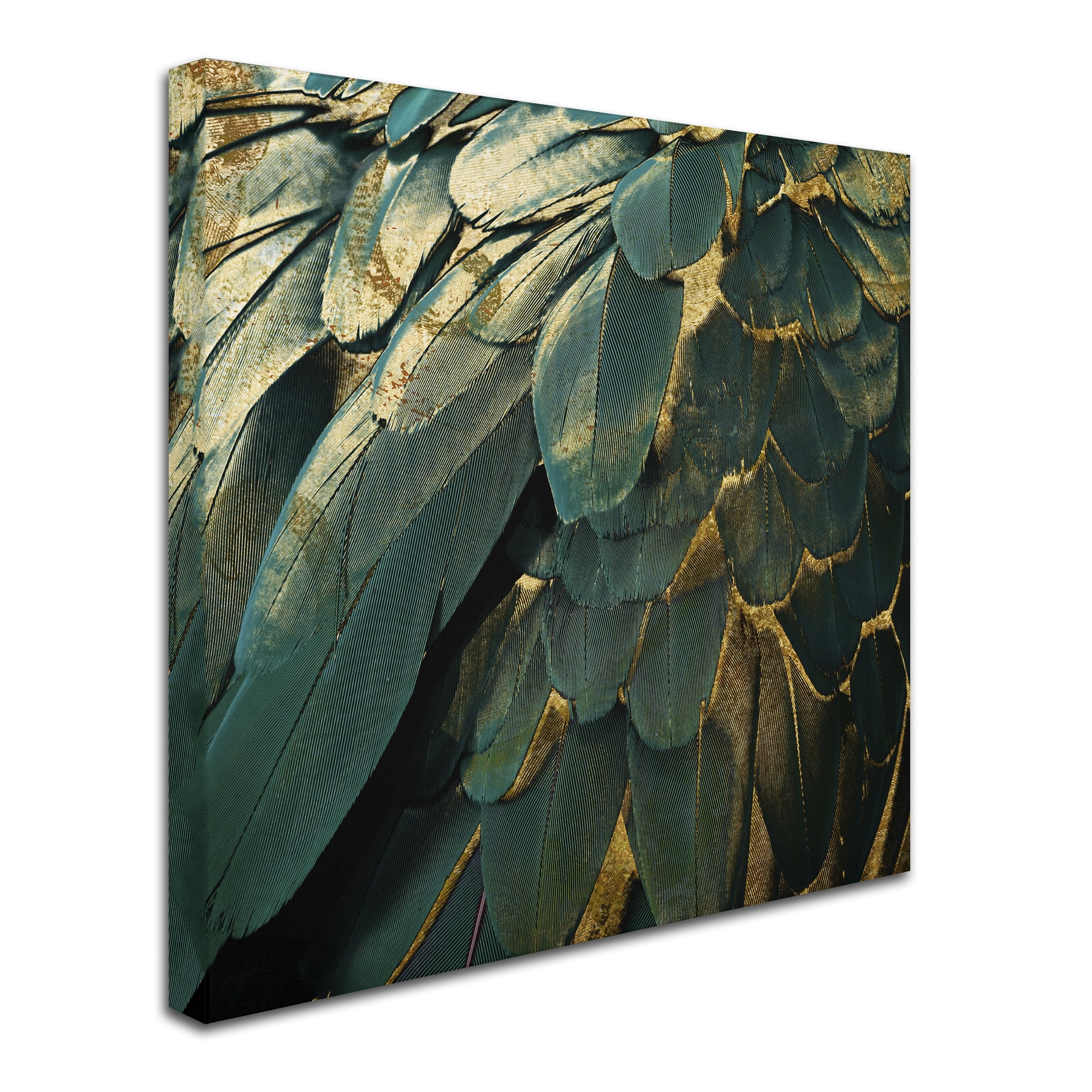 Trademark Fine Art "Feather Glitter" Canvas Art by Color Bakery