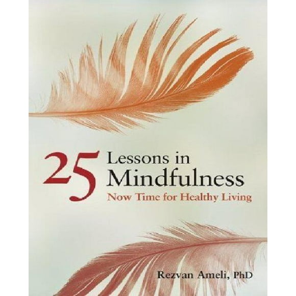 25 Lessons in Mindfulness: Now Time for Healthy Living (APA Life Tools)