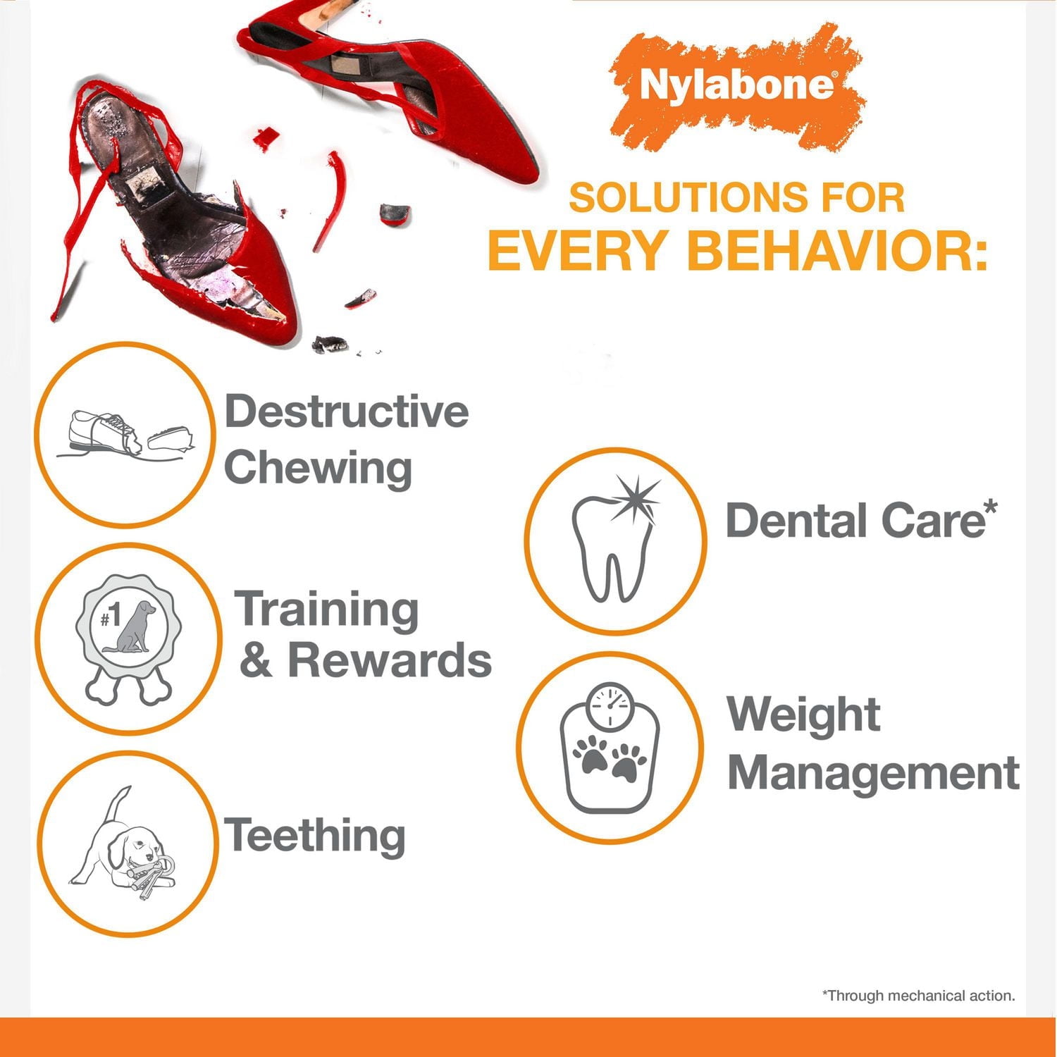 Nylabone Puppy Starter Pack Chicken & Bacon Flavor Small - Up to 25 lbs., Puppy Chew Toy 3pk