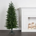 thumbnail image 2 of Vickerman 5.5' Carolina Pencil Spruce Artificial Christmas Tree, Multi-Colored Dura-Lit®LED Lights, 2 of 8