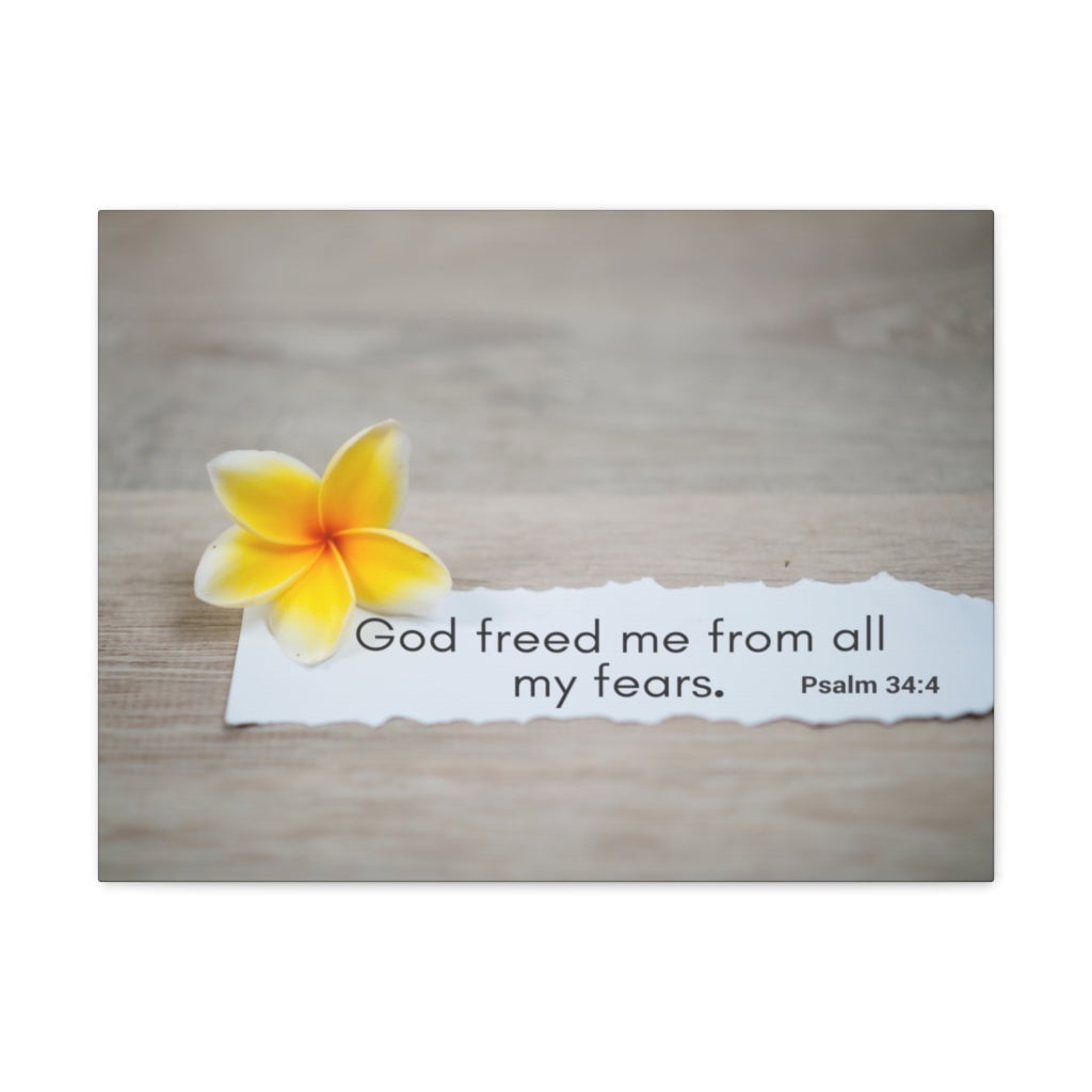 Scripture Walls God Freed Me From All My Fears Psalm 34 4 Bible Verse scripture-walls-god-freed-me-from-all-my-fears-psalm-34-4-bible-verse