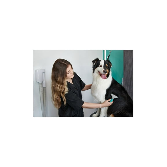 Groomer Essentials Undercoat Rake Single Row