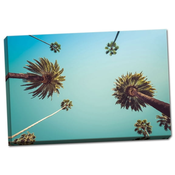 Gango Home Decor Palms by Photo INC Studio; 1-24x16" Art Hand-Stretched Canvas