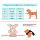 thumbnail image 2 of Arnés para perros Petmolico, no tira, reflectante, fácil de caminar, rosa, pequeño, 2 of 7