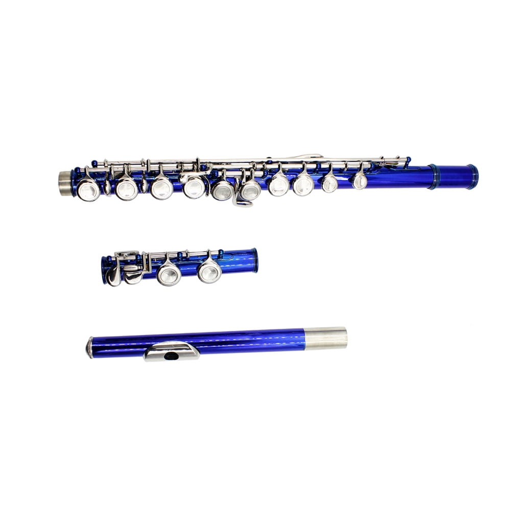 Professional 16 Hole Flute with E C Tone Closed Hole Flute With Bag Cloth Stick for Beginners