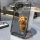 thumbnail image 3 of Funny Cartoon Bear Clear Phone Case For iPhone 14 Pro Max 11 12 13 15 Pro Max Mini X XS XR 78 14 15 Plus Luxury Shockproof Cover, 3 of 5