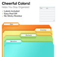 Dunwell Pastel Plastic File Folders â€“ (6 Pack), Sturdy 1/3 Tab File