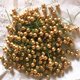 thumbnail image 3 of 100 piezas de flores artificiales de bayas de acebo para colgar en Navidad, adornos para bodas, fiestas, cumpleaños, cajas de regalo DIY, coronas decoradas (10 mm), 3 of 5