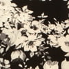 Floral Black