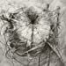 thumbnail image 4 of Strathmore ST455-9 9 in. x 12 in. Wire Bound Sketch Pad, 4 of 4