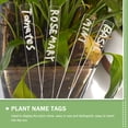 thumbnail image 5 of 120 pcs  Plant Markers Plant Labels Acrylic Flower Identifying Succulent Labels, 5 of 6