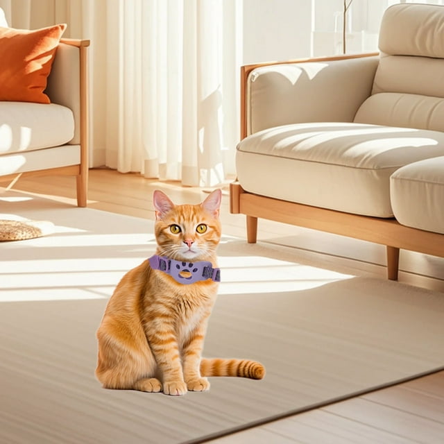 Durable Nylon Pet Collar For Small Dogs And Cats Adjustable And Versatile Design Ideal For Everyday Use And Outdoor Activities Comfortable Fit Perfect For And Training