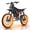 48V22.4AH-3000W-19''Fat tire, variant on Electric Bike for Adults 3000W Peak 20" Fat Tire Off-Road Tire 80 Miles 35 MPH Electric Dirt Bike - 48V 22.4AH Battery Tested to UL 2849 Powered