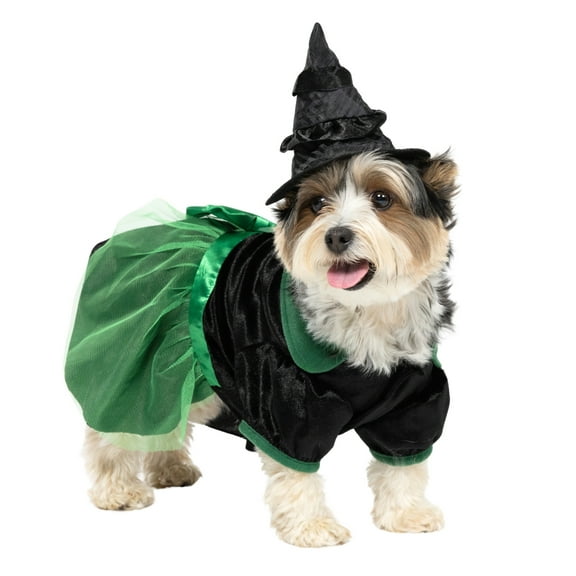 Vibrant Life Halloween Bad Witch Costume for Dogs and Cats, Green and Black, Small