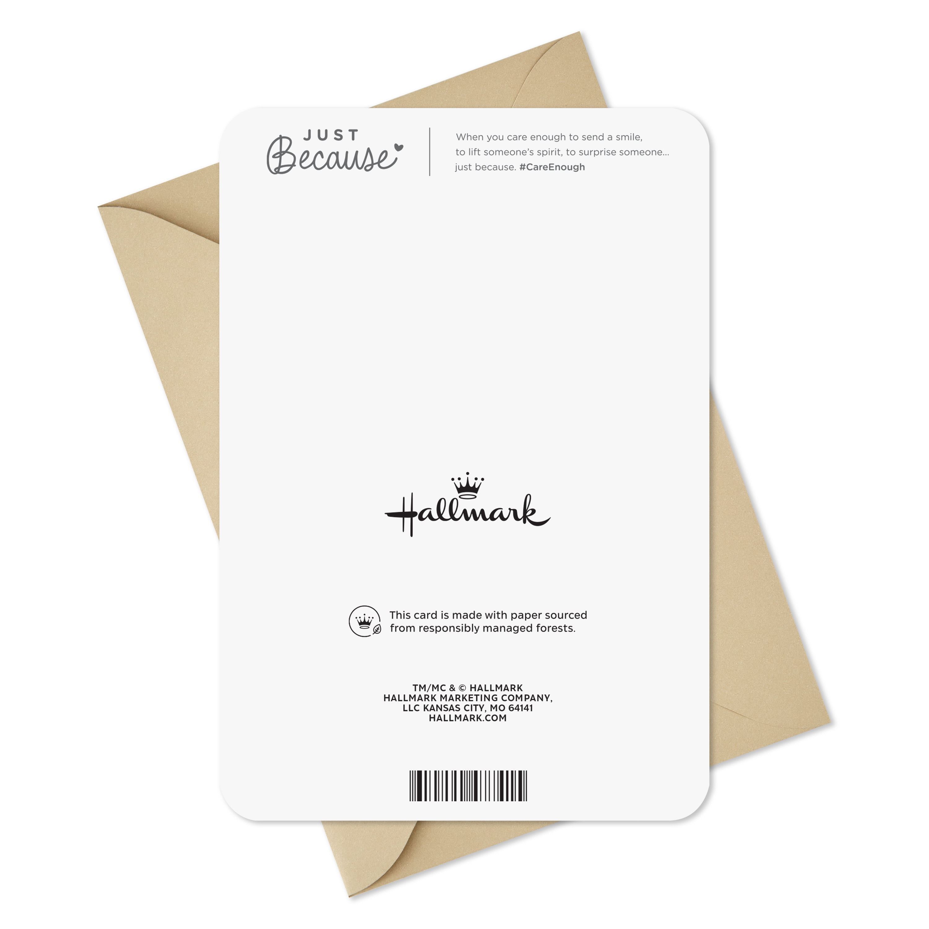 Hallmark Just Because Support Card (One Step at a Time)